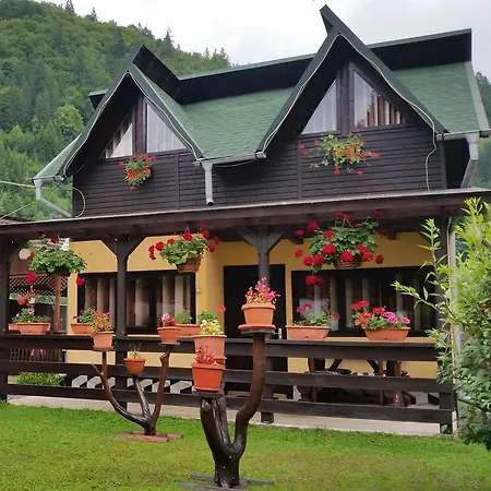 Case de vacanță Pensiunea Stefanescu *