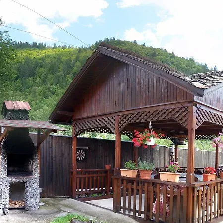 Case de vacanță Pensiunea Stefanescu *